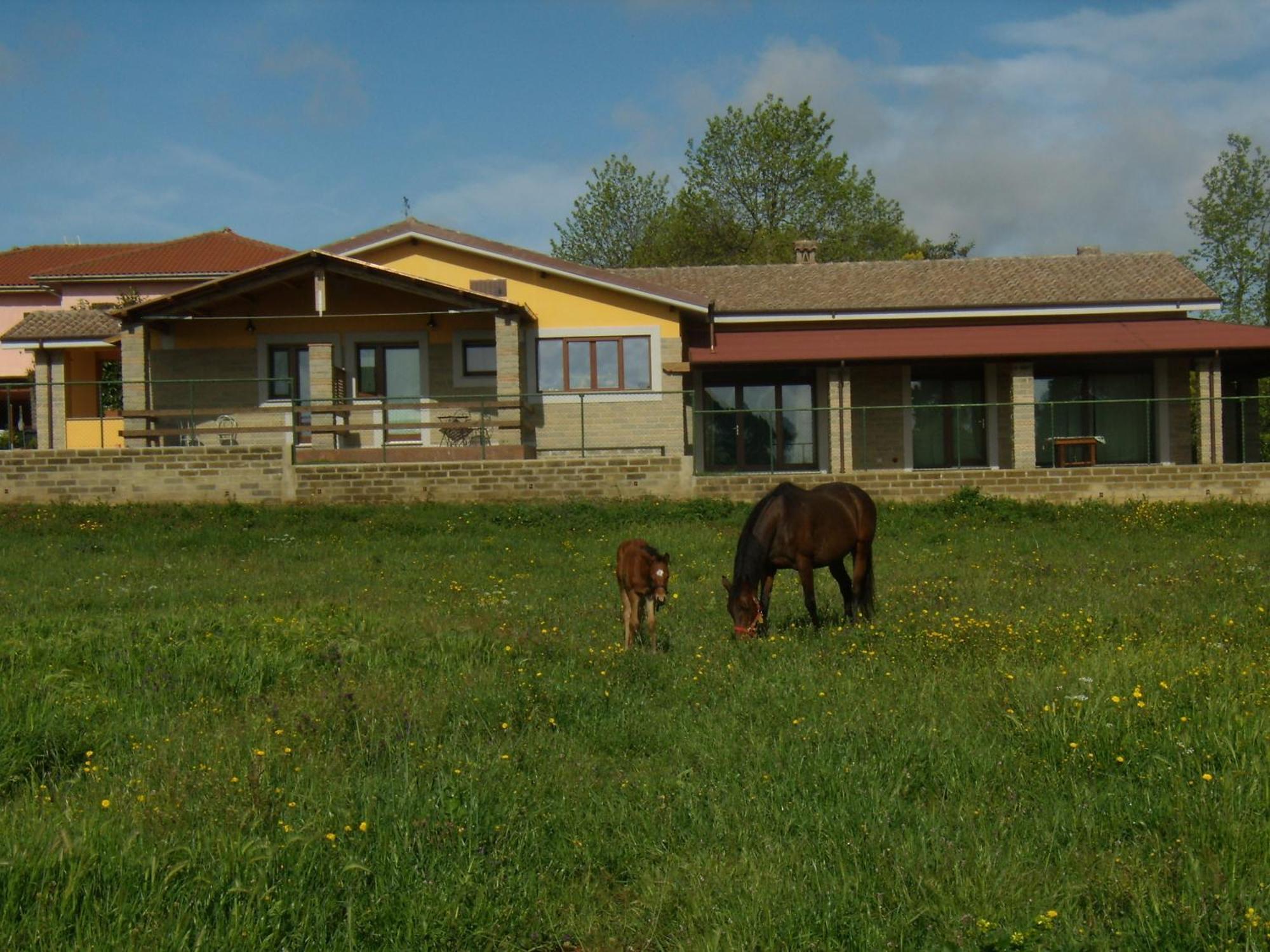 Agriturismo L.B.Stud Bracciano  Exteriér fotografie