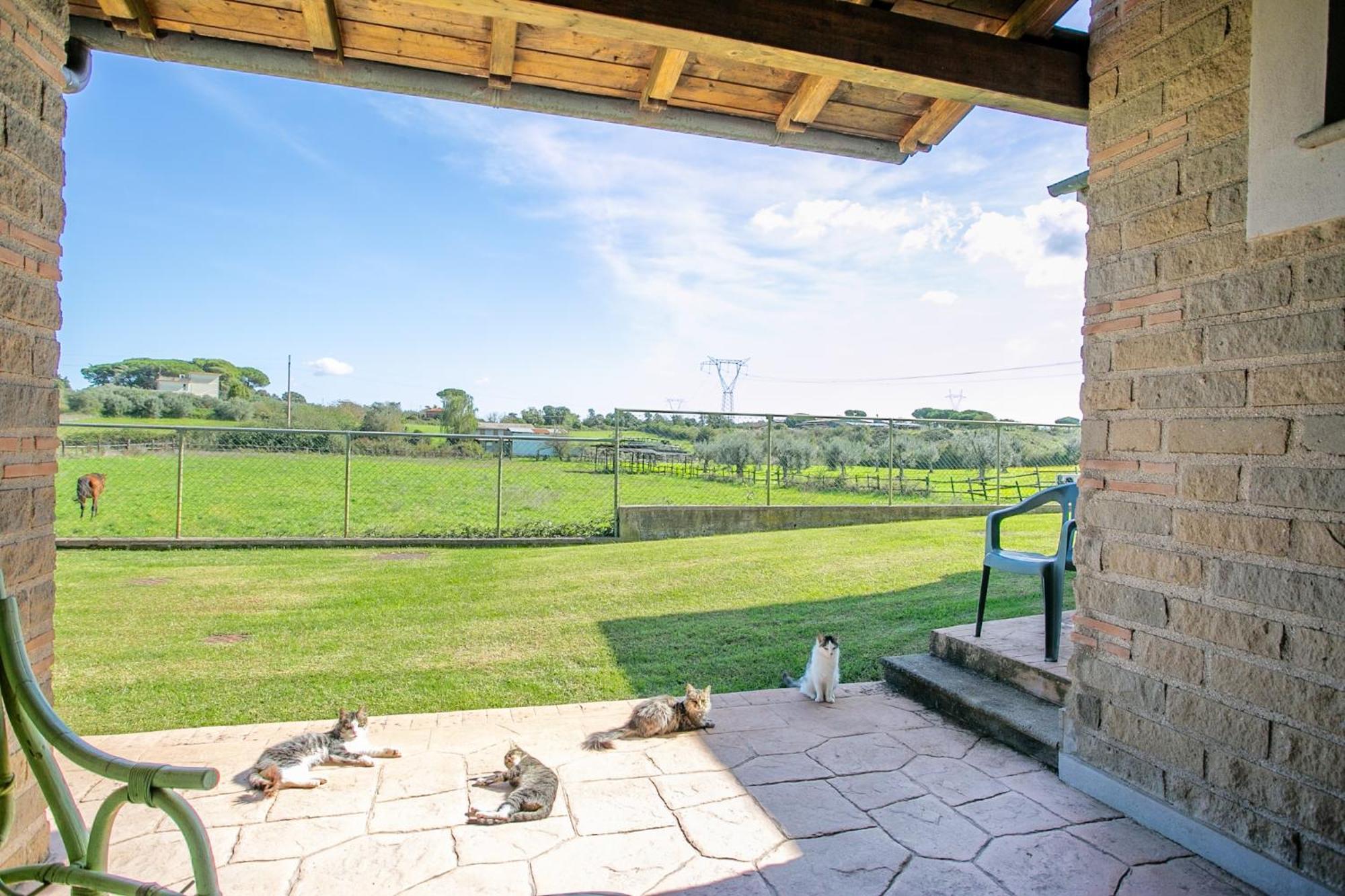 Agriturismo L.B.Stud Bracciano  Exteriér fotografie