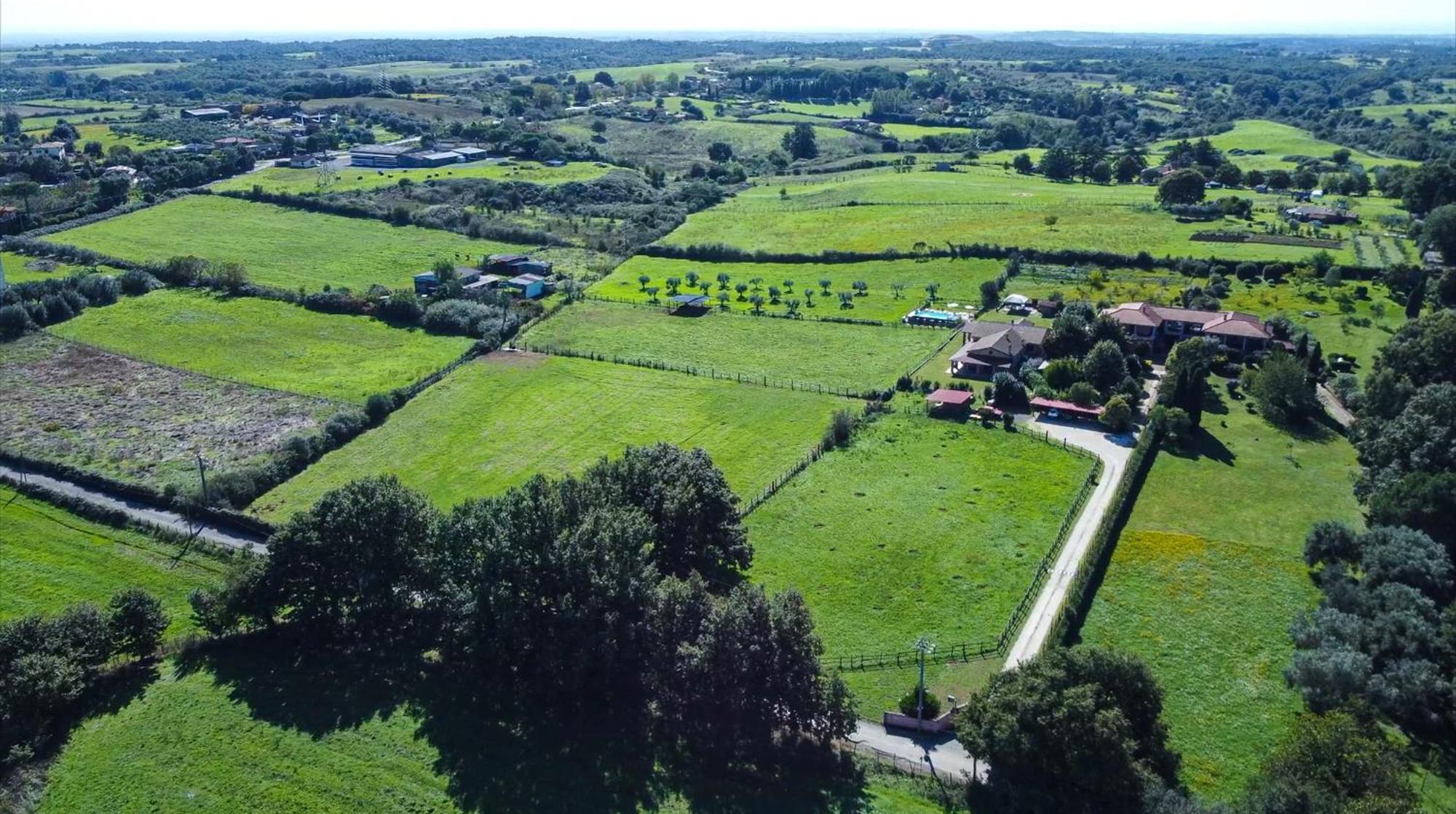 Agriturismo L.B.Stud Bracciano  Exteriér fotografie